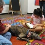 Children Discover a Love of Reading with the Help of Franklin Bark Readers
