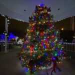 Winterfest at Hammill Square 2019