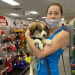 Puppy and Dog Adoption Event at Pet Paradise Supermarket